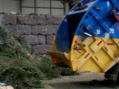 500 zł kary za choinkę po świętach. Tego błędu nie można popełnić