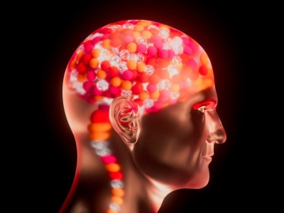 Duży mózg zawdzięczamy mikrobiomowi jelit