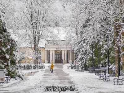 Czy w Polanicy-Zdrój można spotkać niedźwiedzie? Dlaczego warto tu przyjechać?