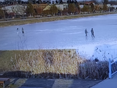 Spacerowicze na zalewie, gołąb uciekinier. Interwencje straży miejskiej