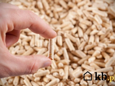 Odkryj tajemnice pelletu! Jak nie dać się nabrać na niskiej jakości granulat?