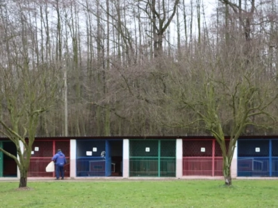 LPGK bez umowy na prowadzenie schroniska dla zwierząt w Legnicy