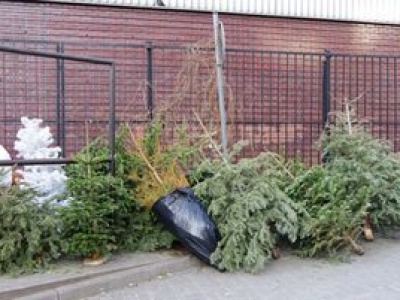 Choinkę wyrzuć do konkretnego pojemnika. Wiedziałeś o tym?