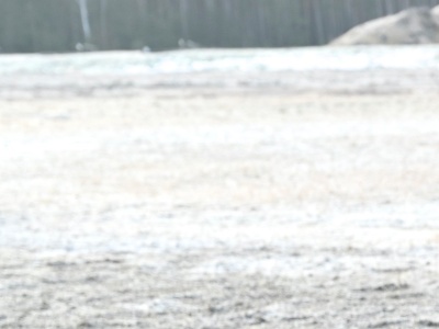 Żołnierka walczy z wojskiem o odszkodowanie. Odmówiono jej przez... wagę