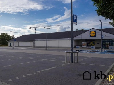 Zaparkujesz źle pod Lidlem? Uwaga! Możesz zapłacić aż 5000 zł!