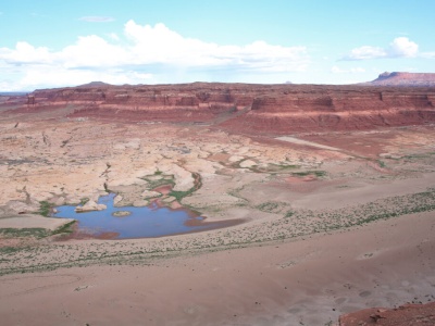 Efekt domina. Decyzje Trumpa podniosą ceny żywności w Europie?