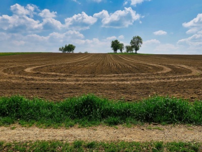 Ukraiński oligarcha jeszcze powiększył areał gruntów. Przejmuje ponad 40 tysięcy hektarów