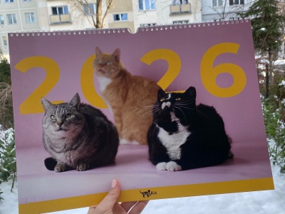 „Kup kalendarz i pomóż zwierzakom”. Chętnych nie brakuje