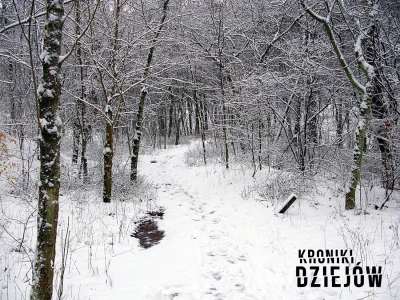 Miał 13 lat i wyszedł po mleko. Przez osiem dni był więziony w drewnianej skrzyni