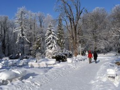 NFZ bezradny wobec „niedojazdów” do sanatoriów. Tysiące rezygnacji
