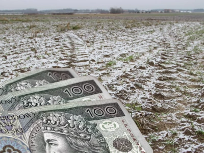 Ziemia droższa niż ciągnik. Hektar w Polsce dochodzi do 100 tys. zł