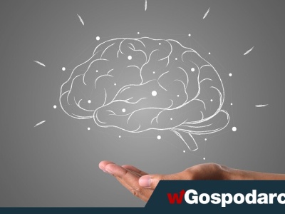 Okres dojrzewania mózgu to nie tylko wiek szkolny