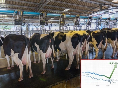 Jak zmieni się mapa mleka w UE? Zachód zwija produkcję, Polska rośnie