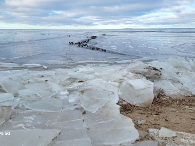 Kraina lodu na Zalewie Szczecińskim
