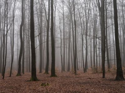 Owiane tajemnicą miejsce w Polsce. Drzemie tam 