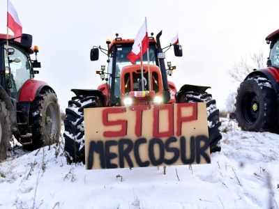 Tak Polska przegrała ws. umowy z Mercosur. 