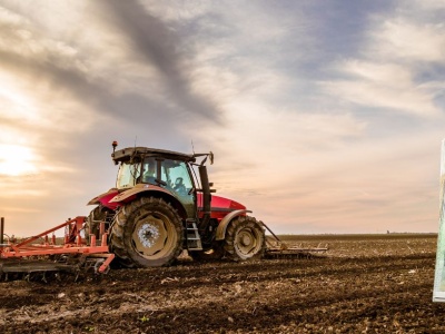 Wypłaty dopłat bezpośrednich 2025. Ponad 12,6 mld zł na kontach rolników