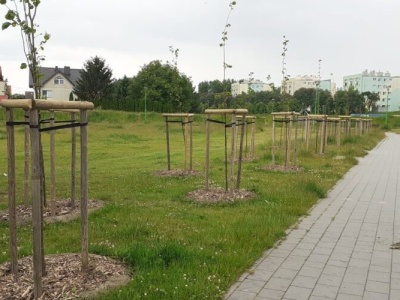 Nadchodzą zmiany w tczewskim budżecie obywatelskim