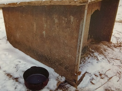 Interwencja w gminie Wieprz. Wychudzony pies trzymany na łańcuchu