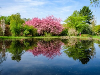 To jest temat. Co z tą dżunglą?