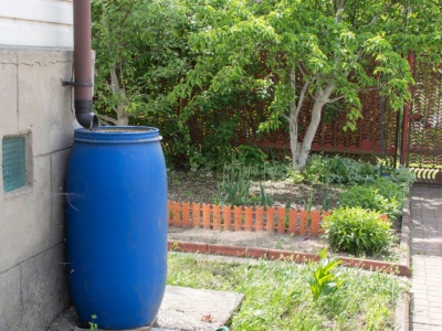 Dają 4000 zł na deszczówkę. Już 15 stycznia rusza program „Mój Deszcz”