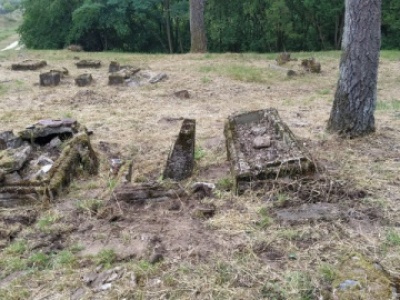 Georadar wskazał, że w ziemi jest wiele nieodkrytych grobów. Będzie praca dla archeologów