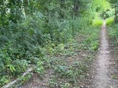 Wrocław: rusza projektowanie trasy spacerowej przez bobrowisko