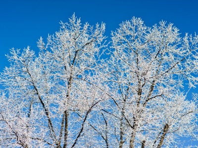 Za to natura słono zapłaci