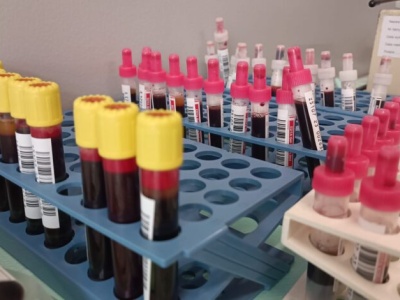 Wolbórz ratuje życie. Zbiórka krwi dla Ignacego Nowaka