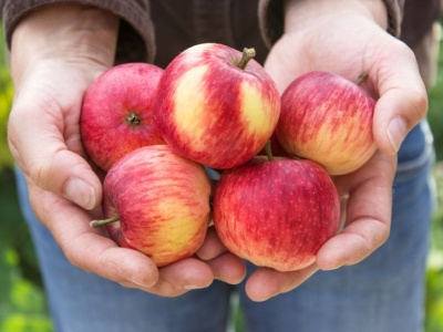Tej części jabłka nie jedz. To może mieć poważne konsekwencje
