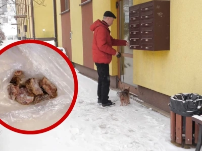 Kolejny truciciel zwierząt?  Mieszkańcy Osiedla Gigant coraz częściej znajdują zatrute jedzenie
