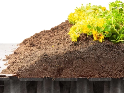 Kratki na zielony dach – jak zaplanować warstwy, drenaż i ochronę roślin?