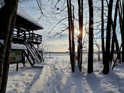 Poleski Park Narodowy zachwyca również zimą. Idealne miejsce do aktywnego wypoczynku