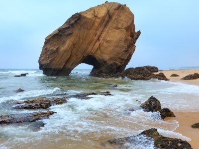 Na klifie ukrywał się tajemniczy skarb. To jaja sprzed 150 mln lat