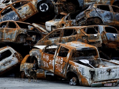 Nie trzeba już zrywać tablic ani biegać po zaświadczenia. Przełom w przepisach