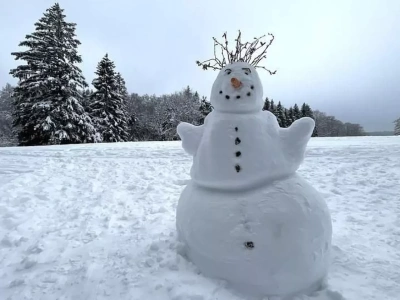 Mroźny i śnieżny styczeń 2026 – jak pierwsza i druga połowa miesiąca wpływają na sady i plantacje jagodowe?