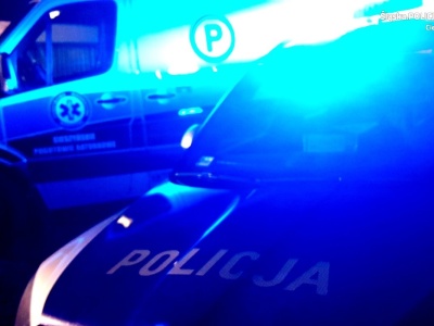 Czołówka w Ogrodzonej. Kierowca Renaulta trafił do szpitala