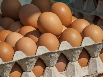 Brazylijskie jaja pchają się na unijny rynek: pierwsze oferty trafiły do kupców, a hamulców brak