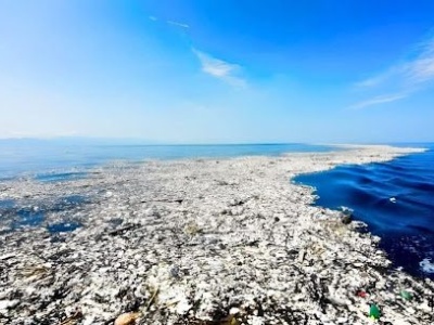 Najbardziej zanieczyszczony obszar oceaniczny na Ziemi, dziś stał się siedliskiem dla dziesiątek gatunków