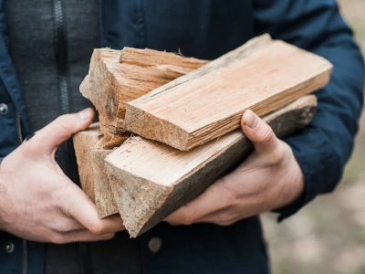 Polacy ruszyli po drewno na zimę. Leśnicy uspokajają, ale ceny już nie