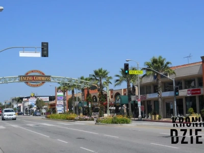 Bawił całą Amerykę. Zginął od trzech strzałów we własnym łóżku