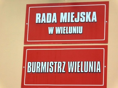 Pytania o inwestycje i funkcjonowanie wydziału, które się nim zajmuje – padły na jednej z ostatnich sesji Rady Miejskiej w Wieluniu