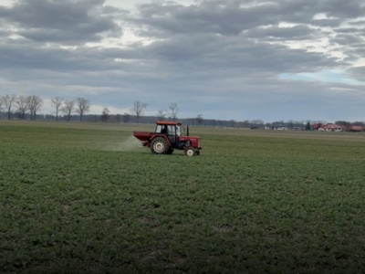 Jaką formę azotu wybrać na wczesnowiosenne nawożenie rzepaku?