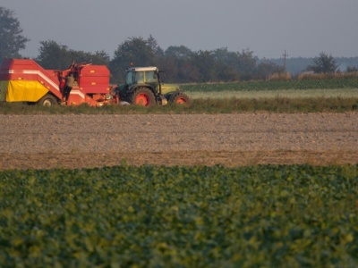 Polska chce zwiększyć eksport żywności do Kataru. Rozmowy w MRiRW
