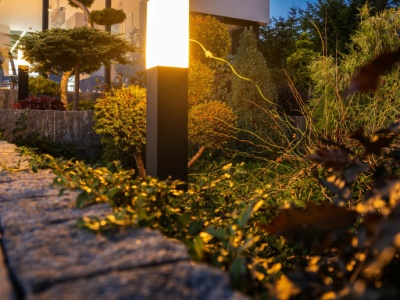 Sąd i przegrana za światło w ogrodzie. Sąsiad ma w ręku prawne atuty