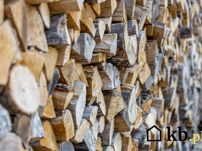 To drewno do kominka Polacy kupują najczęściej. Powód jest prosty