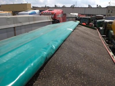 Jak na większą produkcję oleistych reagują ceny rzepaku?