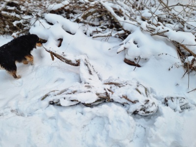 Żoliborz żegna symbol Cytadeli. „Wioślarz” nie wróci do parku