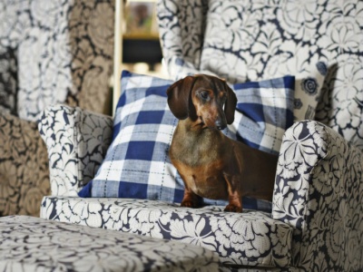 IKEA gotowa na wiosnę 2026. To odpowiedź na zjawisko ROMO?