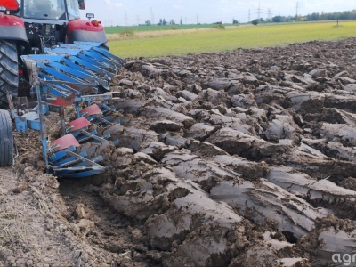 Ceny ziemi rolnej GUS. Wysokie stawki i duże różnice regionalne